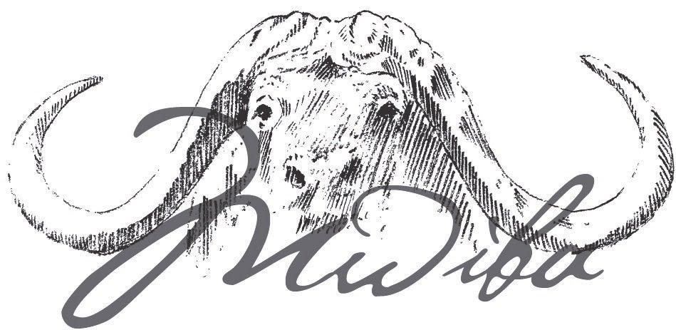 MWIBA HOLDINGS LIMITED mwiba holdings